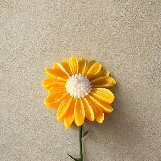 Daisy Dreams Soy Candle